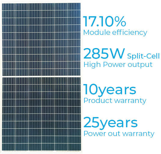 Sky Solar Energy - Risen Energy RSM120-6-255P